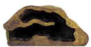 lizard hide box