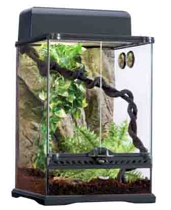 gecko terrarium