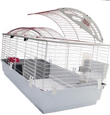 Guinea Pig Cage