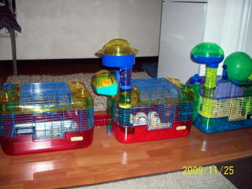 hamster tubes cage