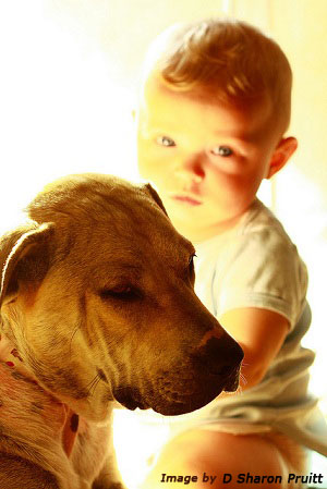 Dog and Child