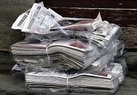 guinea pig bedding newspapers