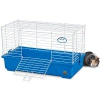 guinea pig cage