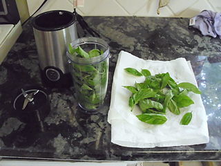 Guinea Pig Basil is good food as part of a complete diet