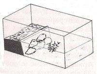 How to build basking area