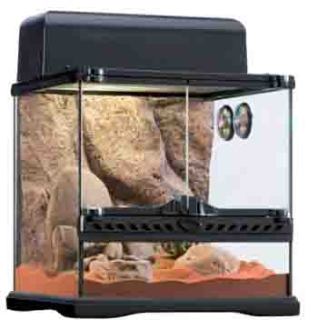 Desert Lizard Cage Desert Lizard Cage