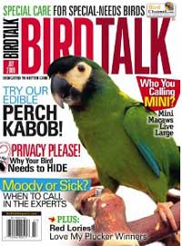 pet magazine