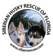 We are www.siberrescue.com